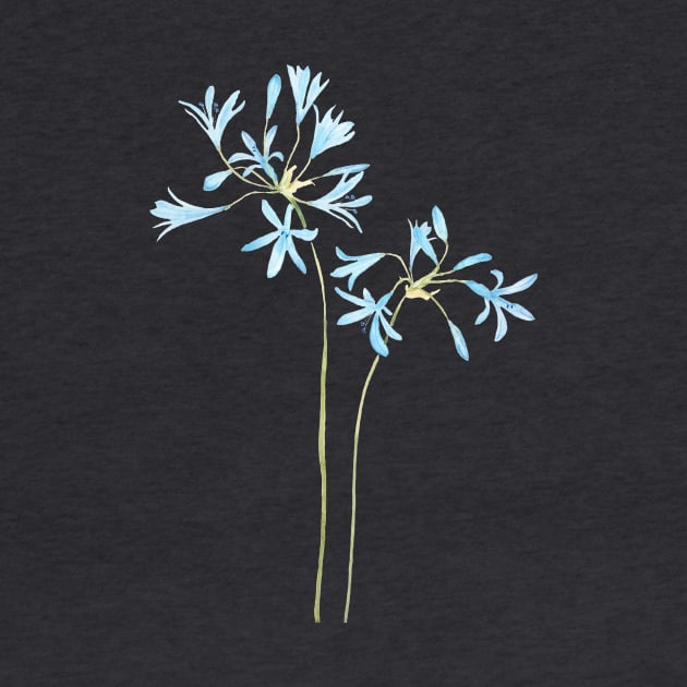 blue African lily watercolor by colorandcolor